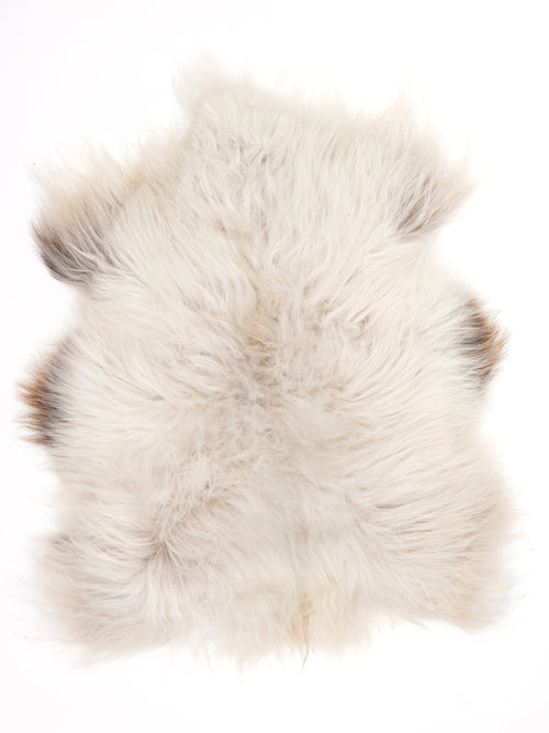 Isländisches Schaffell Mehrfarbig S