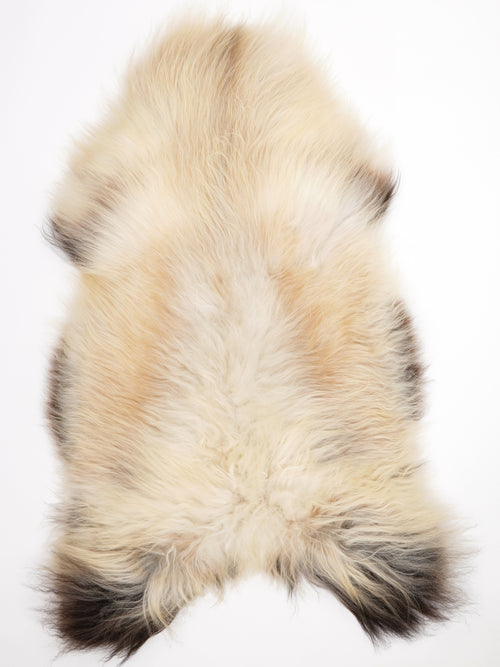 Isländisches Schaffell Mehrfarbig XXXL
