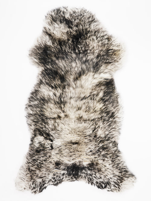 OX00002