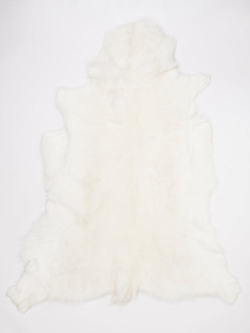OX00023