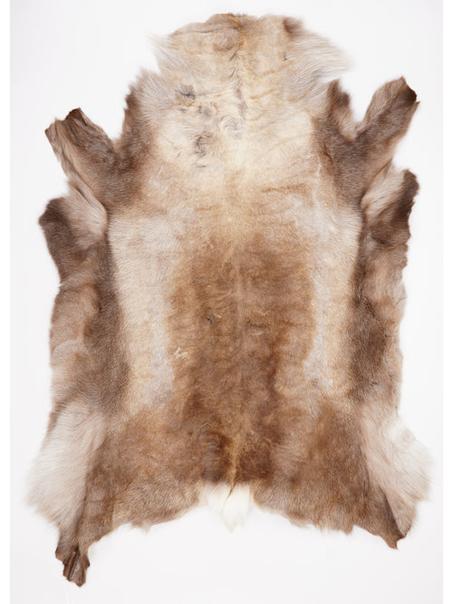 OX00018