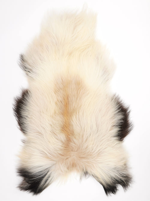 Isländisches Schaffell Mehrfarbig XXL