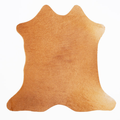 OL00017