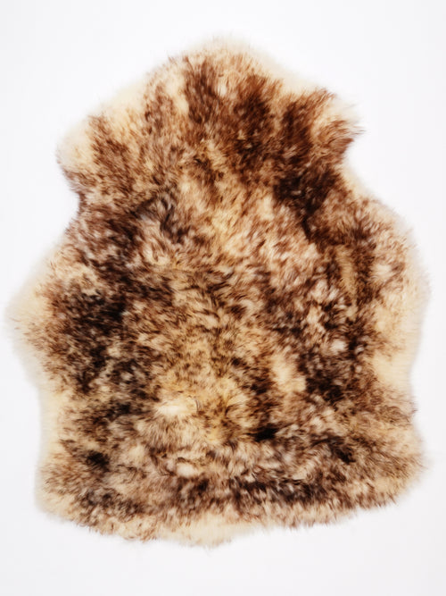 NF00054