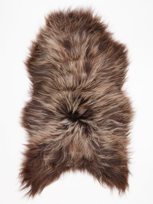 OX00062