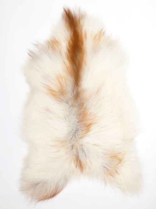 Isländisches Schaffell Mehrfarbig XL